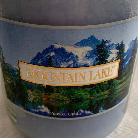 Yankee Candle Mountain Lake + Spring Globe Topper Basket Flowers 22oz Rare - Picture 3 of 12